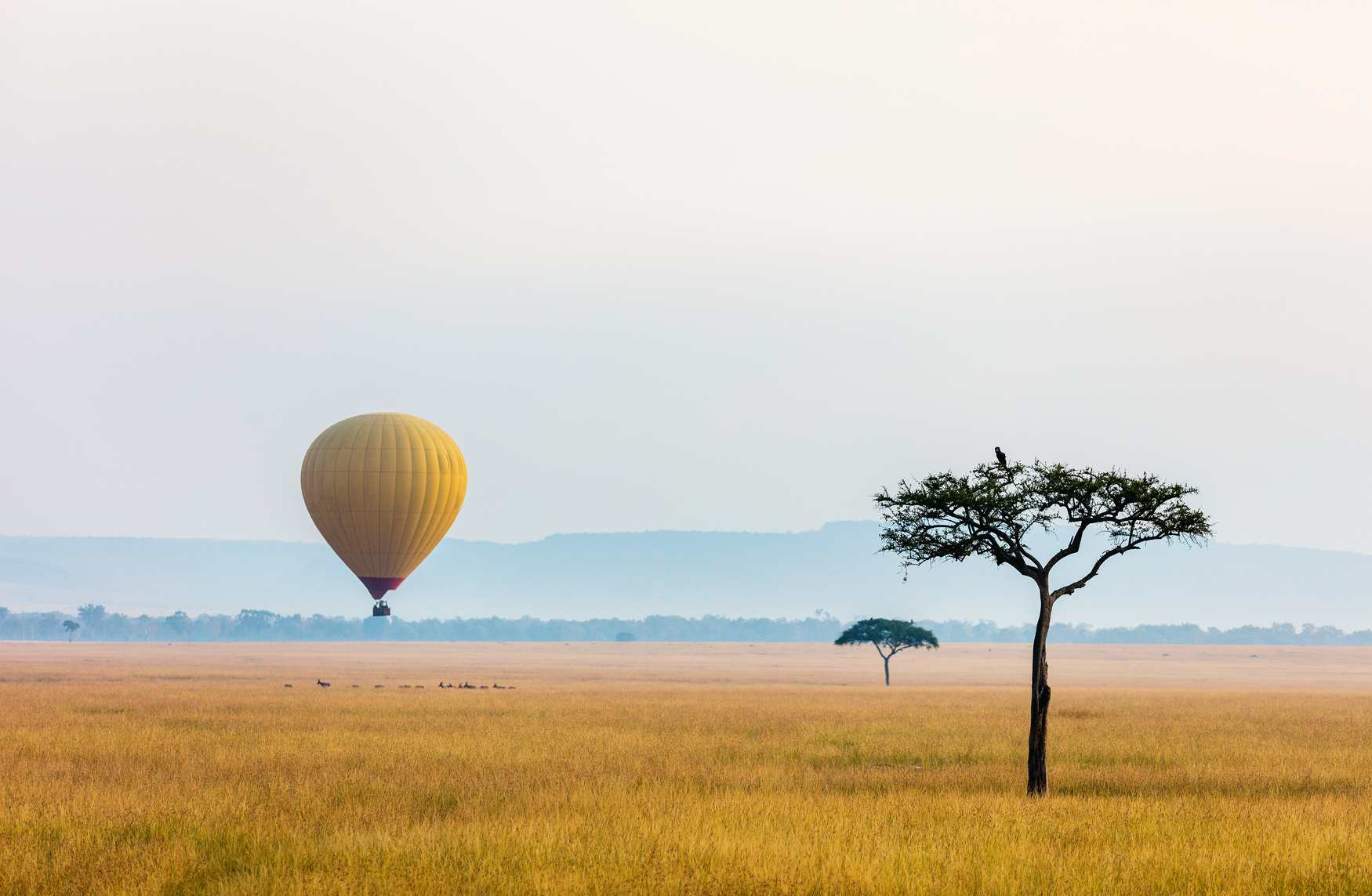 Hot Air Balloon in Africa